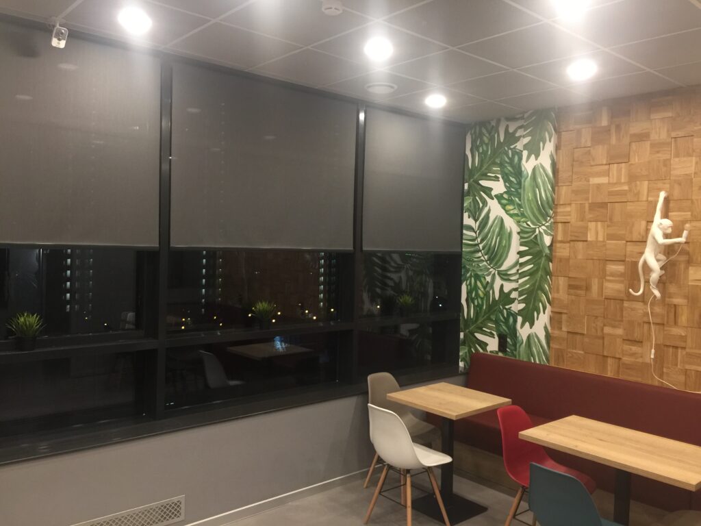 Рулонные шторы-5