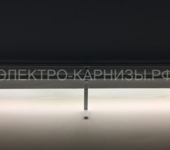 ehlektrokarniz-foto-podsvetka